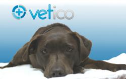 Vetico, the Veterinary information community for pet owners.